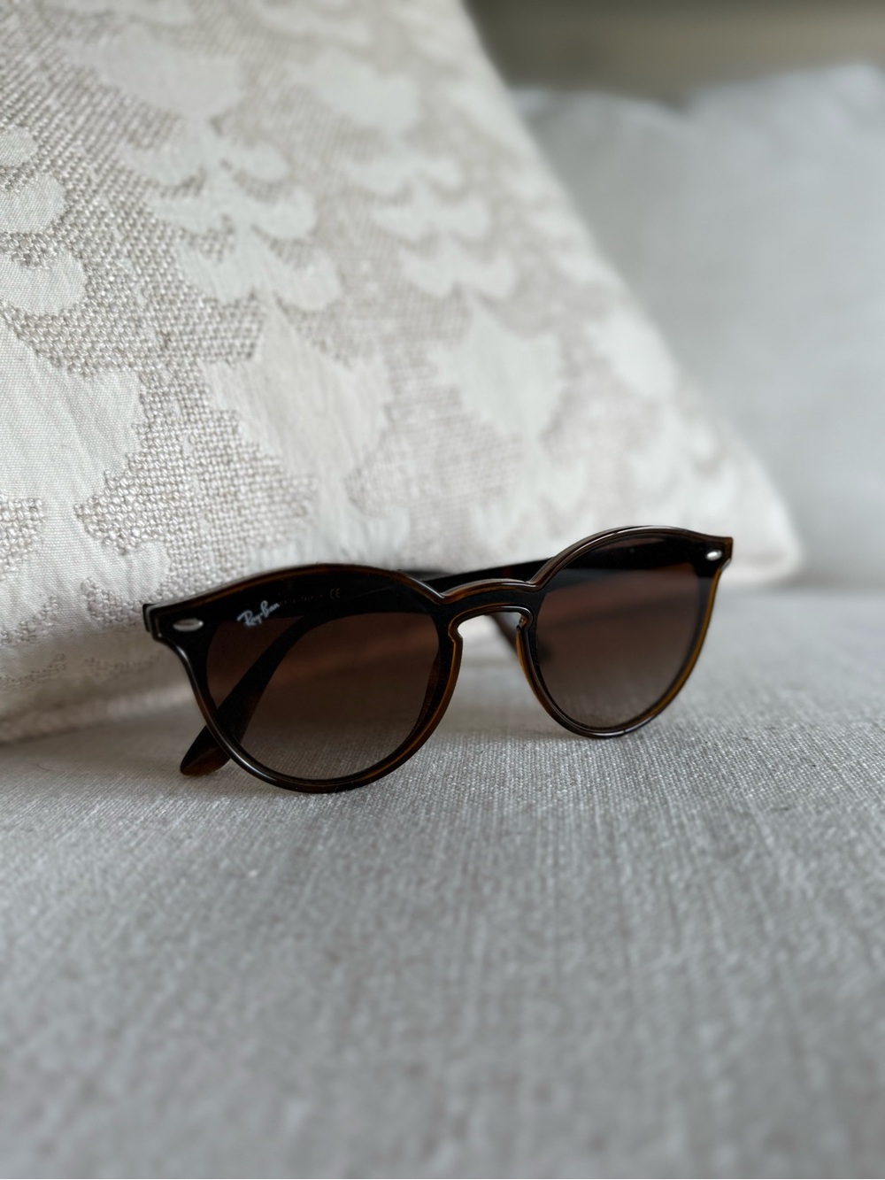 Ray-Ban Brown Erika Sunglasses